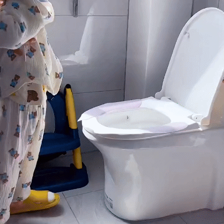Silla Orinal Infantil Plegable