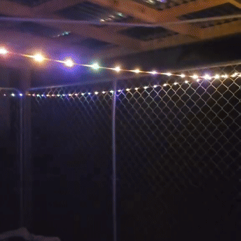 Luces Mágicas para Camping