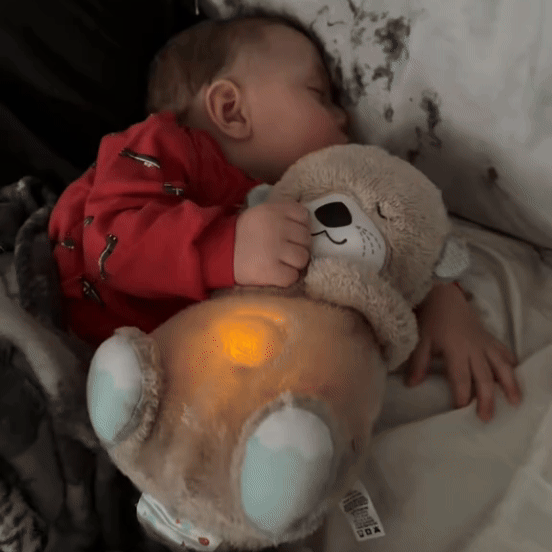 Otter de Sueños para Bebés